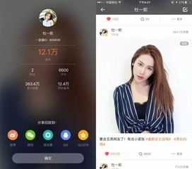 网红跨界的定义与背景