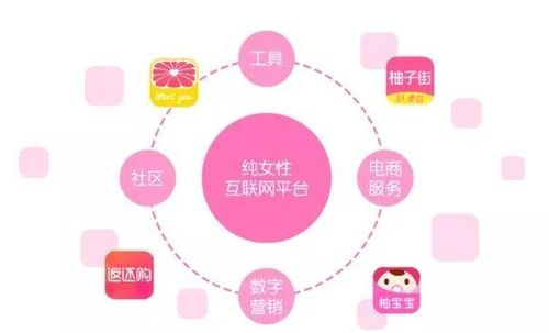 深度解析跨境红人推广平台的核心价值