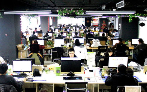 跨境代运营收费的基本构成