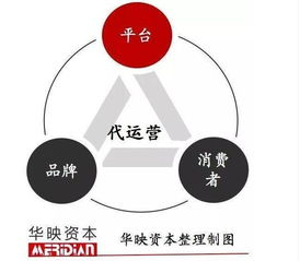 跨境代运营行业的定义与核心价值