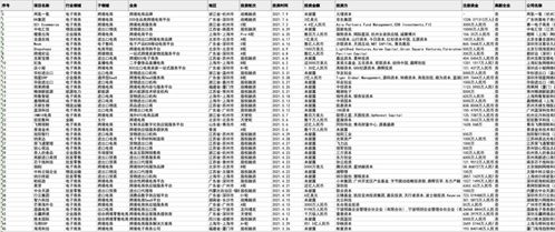 权威榜单：国内跨境电商代运营领军企业TOP 10
