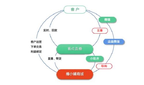 AI在直播带货中的基础作用与优势
