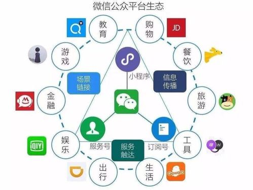 AI带货软件的核心价值与运作逻辑