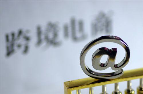 跨境电商侵权诉讼的概述