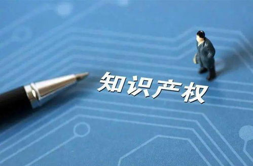 跨境电商侵权的定义与风险影响