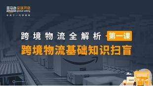 跨境电商侵权概述及其法律风险