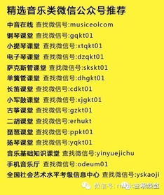 歌词的重要性及其在音乐中的作用