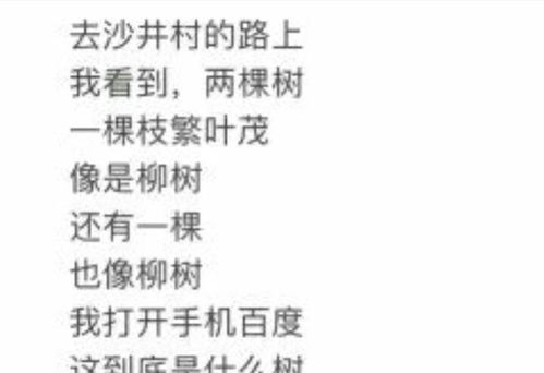 歌词图片的魅力与创作价值