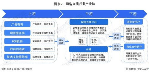 一、跨境网络直播兴起的核心驱动力与政策环境解析
