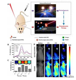 材料纳米化：熔点波动的终结者