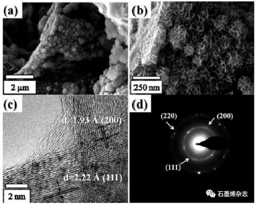 优选材料的应用与未来展望