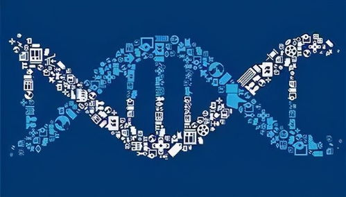 合规与供应链：不可回避的挑战与新机遇