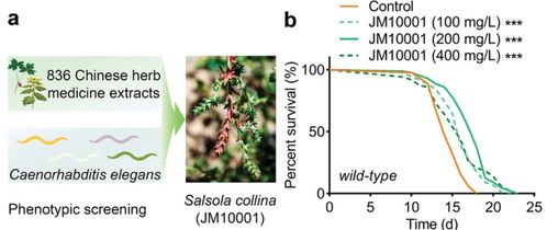 粒径与表面处理的魔鬼细节