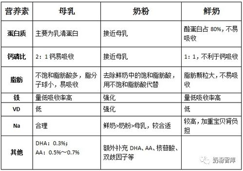 成分差異：環(huán)保與傳統(tǒng)的分野