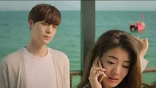 什么是安叶锌丝?