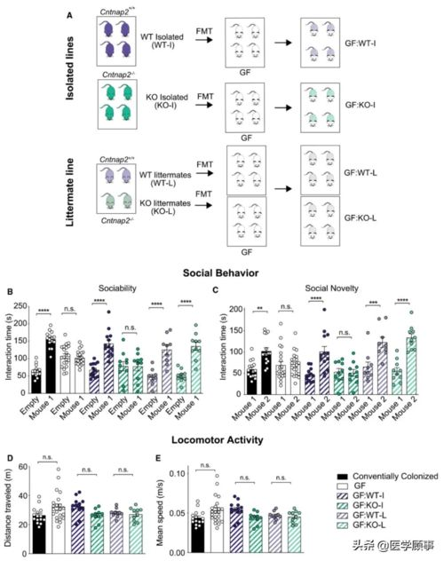 高品质锌线加工的关键因素