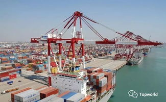 目的港清关概述