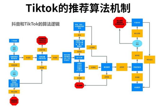 什么是TikTok算法机制