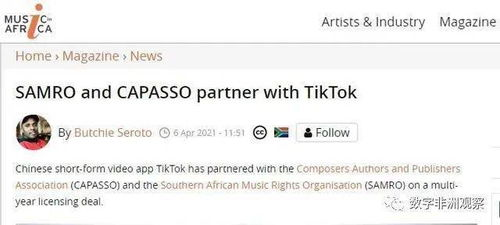 TikTok版权问题的核心争议领域