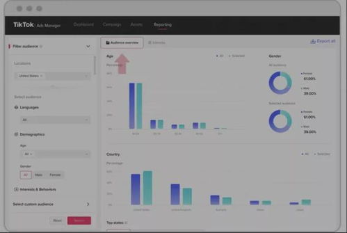 什么是TikTok数据分析工具？
