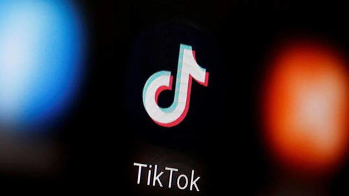 TikTok举报电话的基本概念与重要性