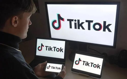 理解TikTok广告白名单及其核心价值