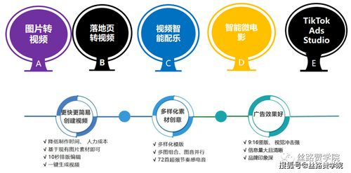 一、TikTok平台广告生态与核心优势解析