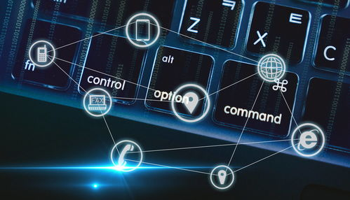 TikTok广告的基本概念与重要性