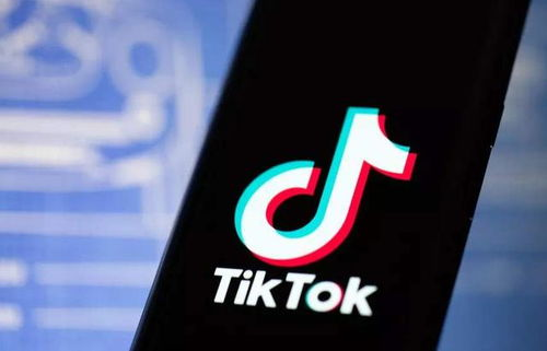 TikTok广告出价的基础概念与类型