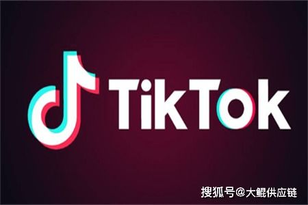 什么是TikTok广告授权