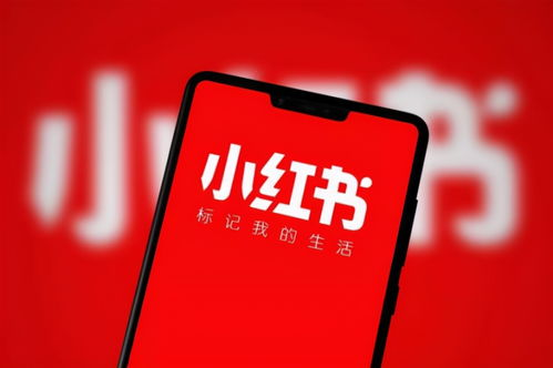 TikTok小店支持的收款方式