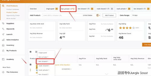 什么是TikTok子账户收款权限？