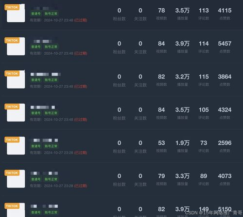 TikTok矩阵账号基础概念与运营价值