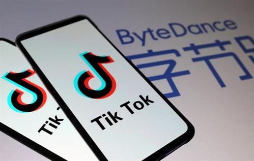 TikTok提现手续费概述