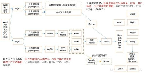 行为定向的核心维度与数据采集机制