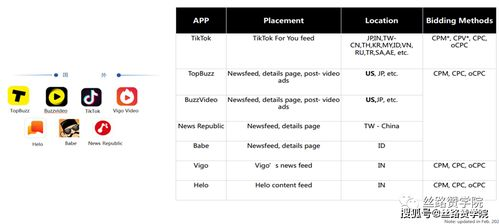 什么是TikTok广告排期？