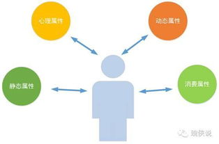 一、 精准用户画像是提升点击率的基石