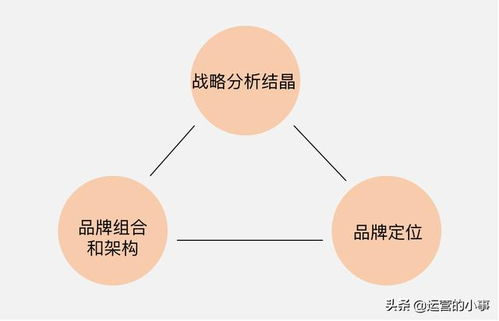 品牌认知强化与影响力扩张策略