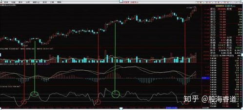 一、 基础曝光与触达指标：广告可见性的基石