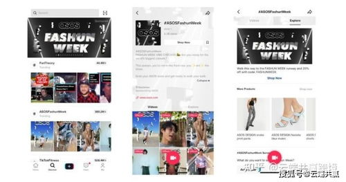 TikTok广告平台概述与数据分析的重要性