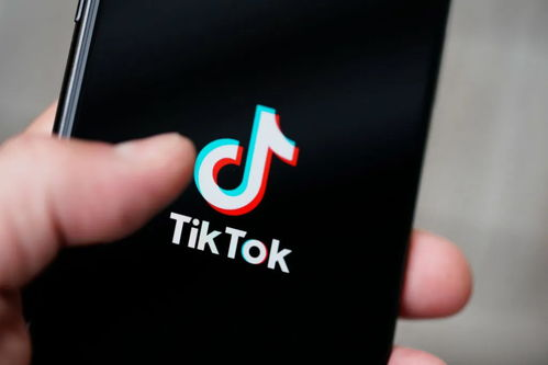 TikTok Pulse：优质内容广告位置