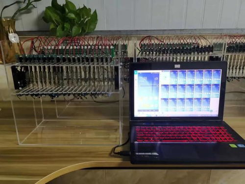 TikTok跨境电商广告投放基础