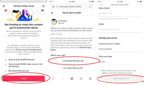 TikTok创作者基金：流量补贴的核心机制与申请攻略