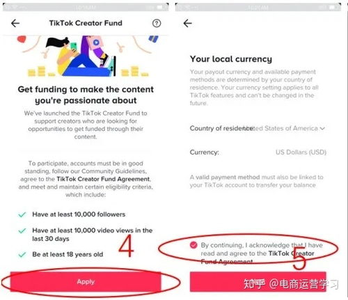 TikTok Creator Fund的详细规则与申请流程