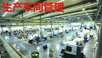 苏州升降机定制方案终极指南：卓高厂家如何解决你的工业痛点？