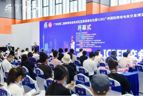 TikTok电商拓展的总体战略与背景