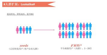 美国用户数据特性对算法优化的核心价值