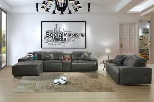 瑞典高端家居品牌的背景与年轻市场的挑战