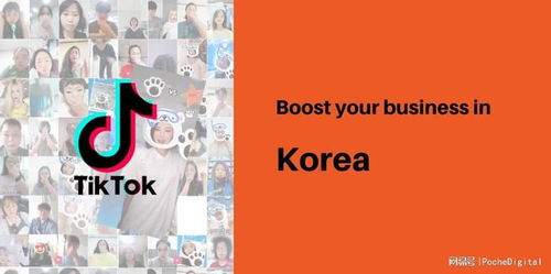 TikTok营销科学概述