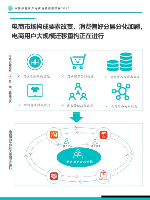 “消费者洞察”工具的功能与上线意义